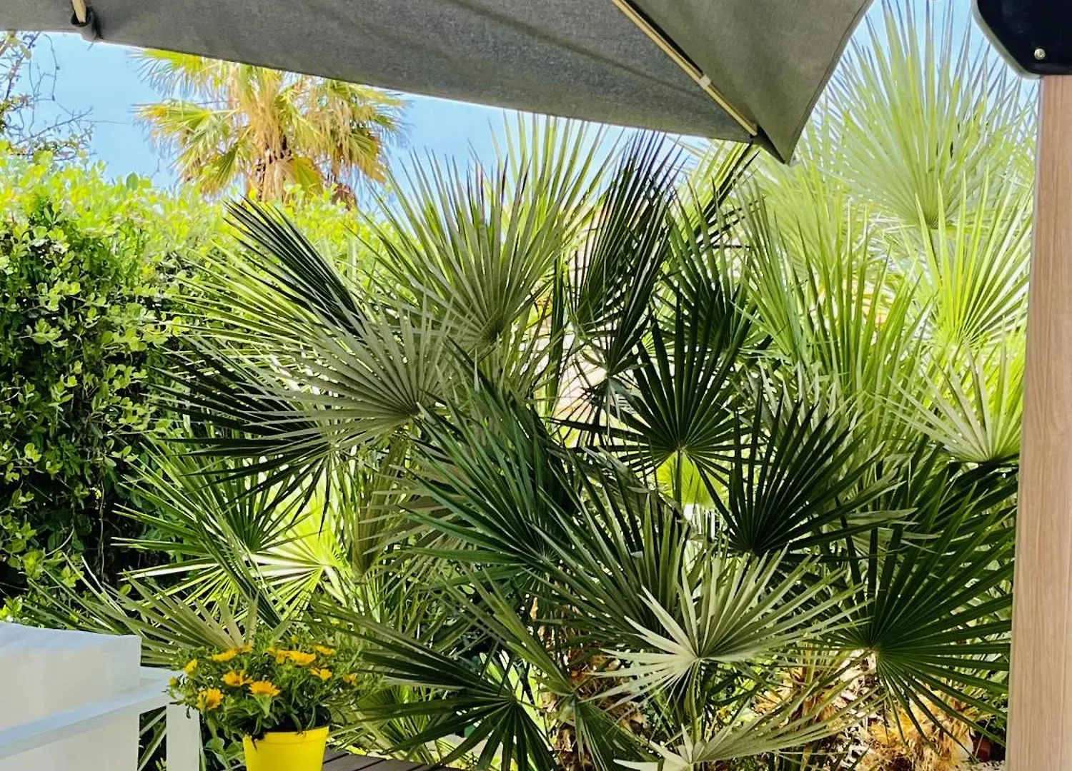 Villa Nina A Mare, Baia Di Cornino, كوستوناتشي إيطاليا